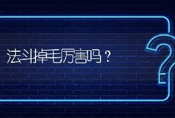 法斗掉毛厉害吗？