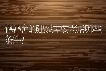 鸽消瘦病的防治