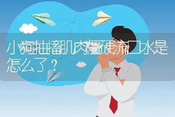 小狗抽搐肌肉僵硬流口水是怎么了？