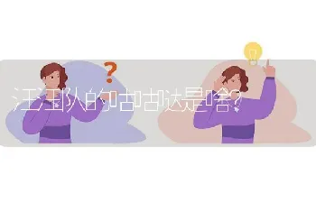 汪汪队的咕咕哒是啥？