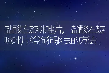 盐酸左旋咪唑片，盐酸左旋咪唑片给狗狗驱虫的方法