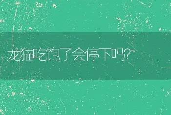 蓝点颏鸟指甲掉了怎么办？