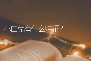 小白兔有什么特征？