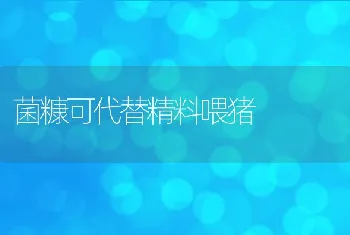 养殖鱼类节省饲料的做法