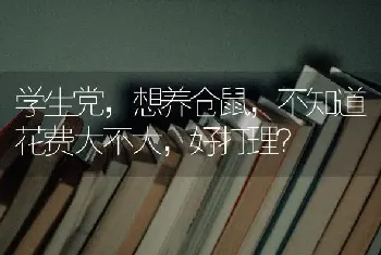 学生党，想养仓鼠，不知道花费大不大，好打理？