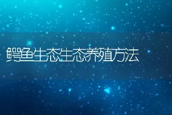 鳄鱼生态生态养殖方法