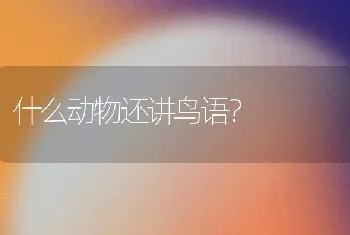 小狗轻轻的咬你是表明他怎么了？