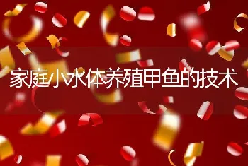 中鹅的饲养管理