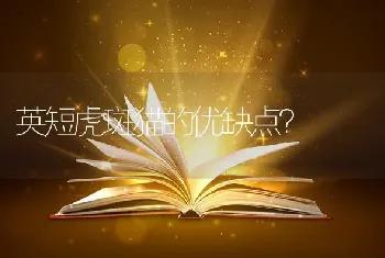 英短虎斑猫的优缺点？