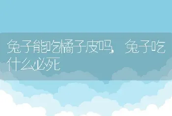 兔子能吃橘子皮吗，兔子吃什么必死