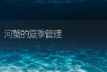 河蟹的夏季管理