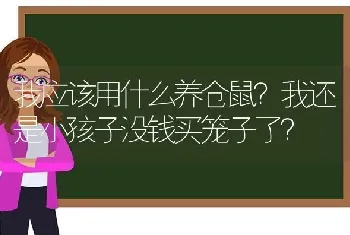 我应该用什么养仓鼠？我还是小孩子没钱买笼子了？