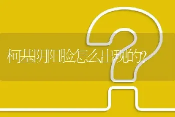 柯基阴阳脸怎么出现的？