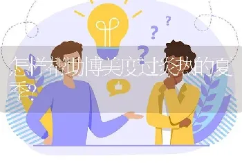 怎样帮助博美度过炎热的夏季？