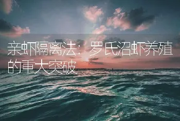 亲虾隔离法：罗氏沼虾养殖的重大突破