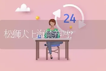 不掉毛耐脏的狗？