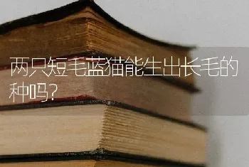 两只短毛蓝猫能生出长毛的种吗？