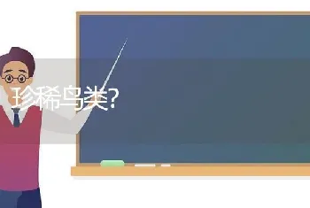 珍稀鸟类？