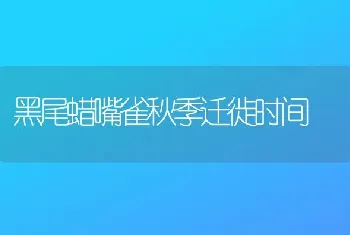 黑尾蜡嘴雀秋季迁徙时间