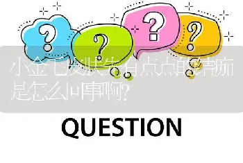 小金毛皮肤先有点点的结痂是怎么回事啊？