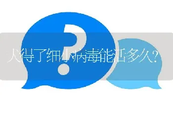 犬得了细小病毒能活多久？