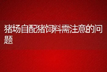 猪场自配猪饲料需注意的问题