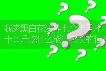 我家黑白花法斗七个半月才十≡斤吃什么能让它长的壮？