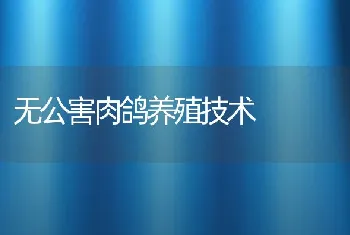 无公害肉鸽养殖技术