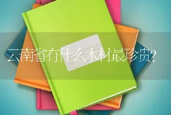 云南省有什么木材最珍贵？