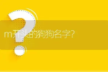 m开头的狗狗名字？