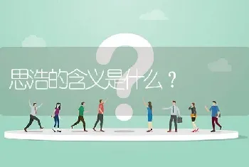 思浩的含义是什么？