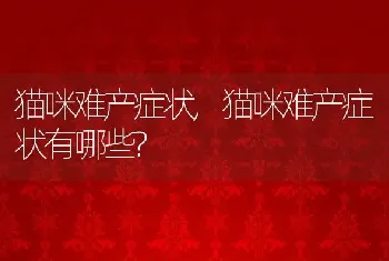 猫咪难产症状，猫咪难产症状有哪些？