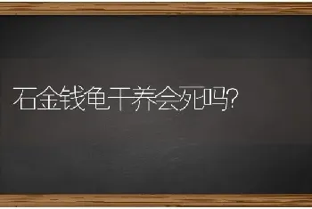 石金钱龟干养会死吗？