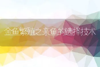 金鱼繁殖之亲鱼的选择技术