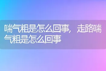 喘气粗是怎么回事，走路喘气粗是怎么回事