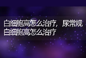 白细胞高怎么治疗，尿常规白细胞高怎么治疗