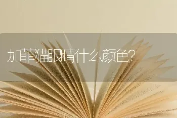 加菲猫眼睛什么颜色？