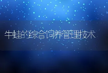 牛蛙的综合饲养管理技术