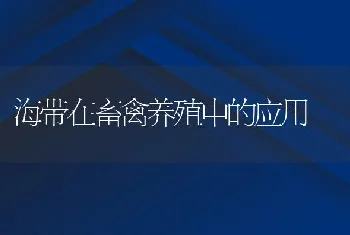 海带在畜禽养殖中的应用