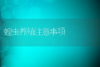 蝗虫养殖注意事项