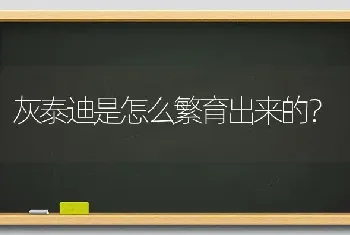 泰迪狗肝脏衰竭症状？