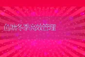 鱼塘冬季高效管理