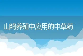 山鸡养殖中应用的中草药