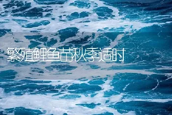 繁殖鲤鱼苗秋季适时