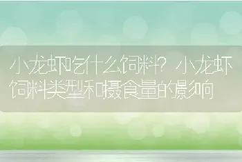 小龙虾吃什么饲料？小龙虾饲料类型和摄食量的影响