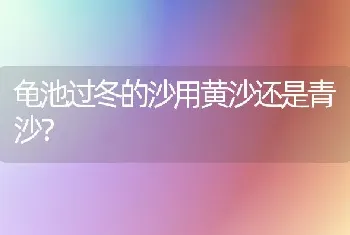 狗狗怀孕多久可以生狗？