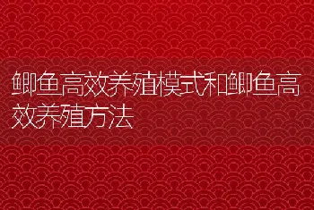 鲫鱼高效养殖模式和鲫鱼高效养殖方法