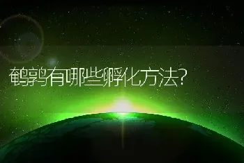 鹌鹑有哪些孵化方法？