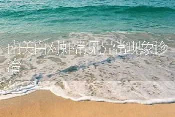 南美白对虾常见异常现象诊治