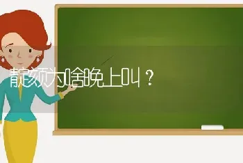 靛颏为啥晚上叫？